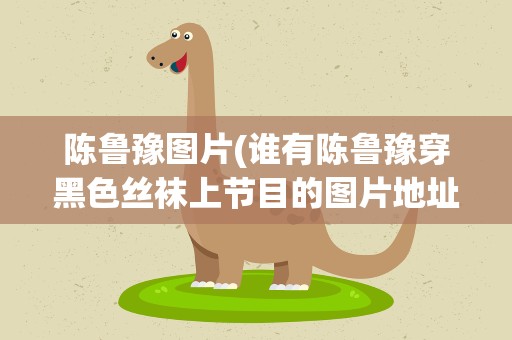 陈鲁豫图片(谁有陈鲁豫穿黑色丝袜上节目的图片地址)