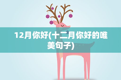 12月你好(十二月你好的唯美句子)