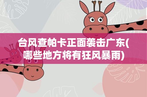 台风查帕卡正面袭击广东(哪些地方将有狂风暴雨)