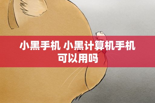 小黑手机 小黑计算机手机可以用吗