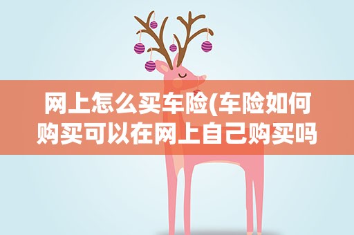 网上怎么买车险(车险如何购买可以在网上自己购买吗)