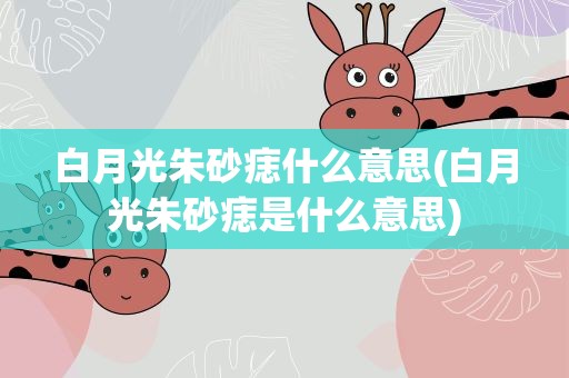 白月光朱砂痣什么意思(白月光朱砂痣是什么意思)