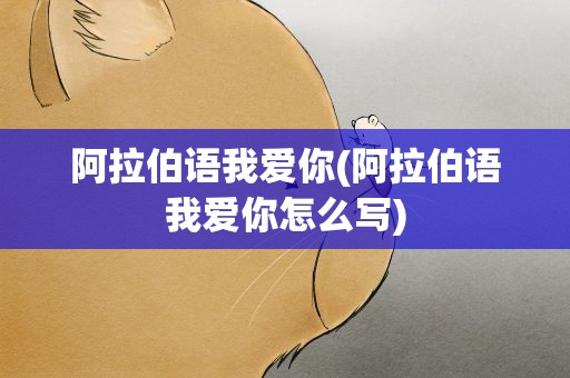 阿拉伯语我爱你(阿拉伯语我爱你怎么写)