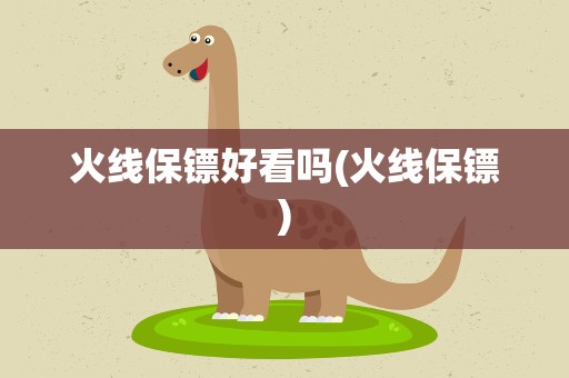 火线保镖好看吗(火线保镖)