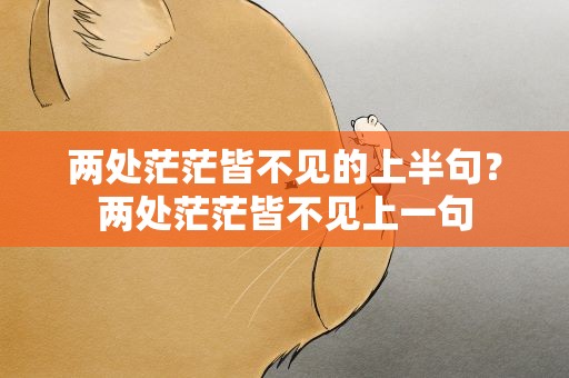 两处茫茫皆不见的上半句？两处茫茫皆不见上一句
