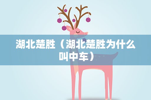 湖北楚胜（湖北楚胜为什么叫中车）
