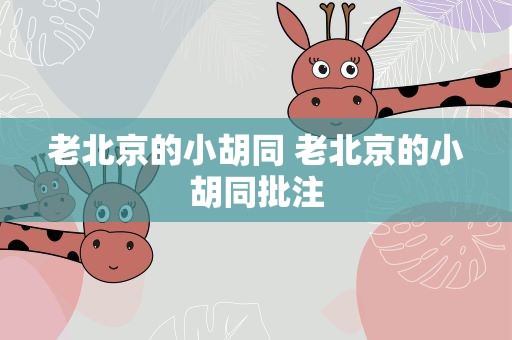 老北京的小胡同 老北京的小胡同批注