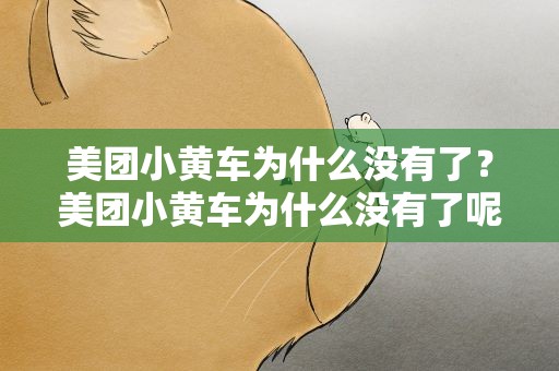 美团小黄车为什么没有了？美团小黄车为什么没有了呢