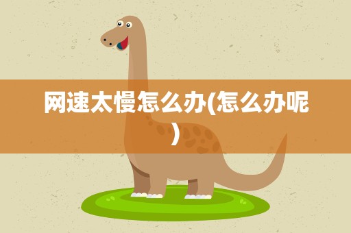 网速太慢怎么办(怎么办呢)