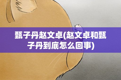 甄子丹赵文卓(赵文卓和甄子丹到底怎么回事)