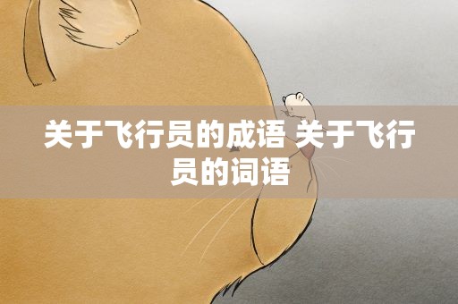 关于飞行员的成语 关于飞行员的词语