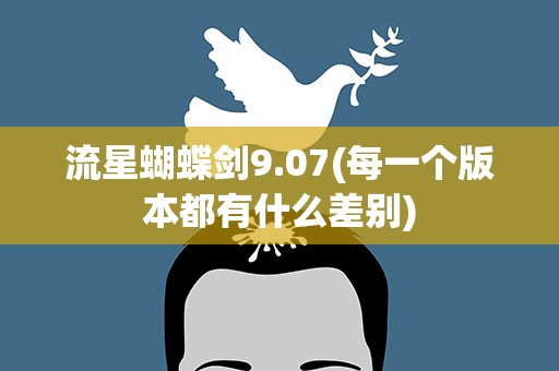 流星蝴蝶剑9.07(每一个版本都有什么差别)