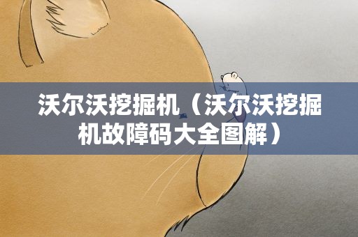 沃尔沃挖掘机（沃尔沃挖掘机故障码大全图解）