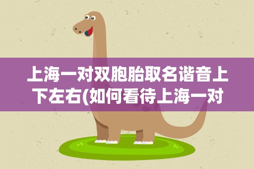 上海一对双胞胎取名谐音上下左右(如何看待上海一对双胞胎取名谐音上下左右)