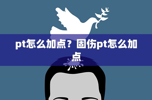 pt怎么加点？固伤pt怎么加点