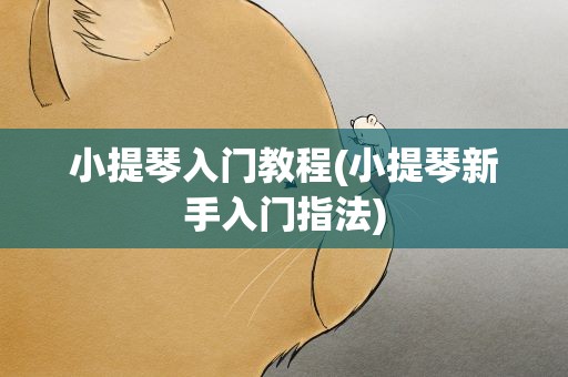 小提琴入门教程(小提琴新手入门指法)