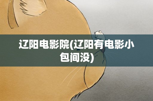 辽阳电影院(辽阳有电影小包间没)
