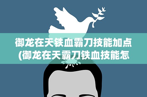 御龙在天铁血霸刀技能加点(御龙在天霸刀铁血技能怎样加点)
