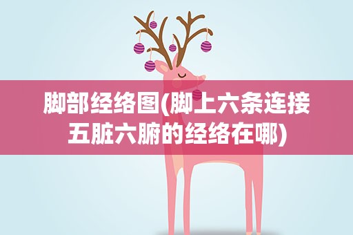 脚部经络图(脚上六条连接五脏六腑的经络在哪)
