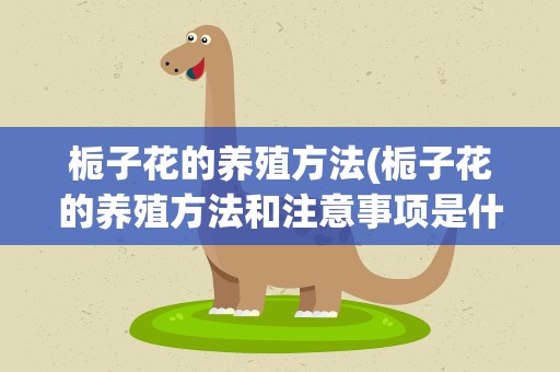 栀子花的养殖方法(栀子花的养殖方法和注意事项是什么)