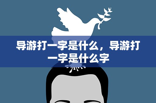导游打一字是什么，导游打一字是什么字