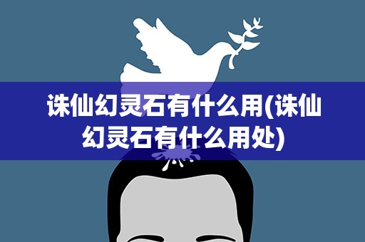 诛仙幻灵石有什么用(诛仙幻灵石有什么用处)