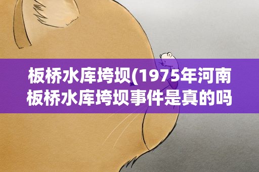板桥水库垮坝(1975年河南板桥水库垮坝事件是真的吗)