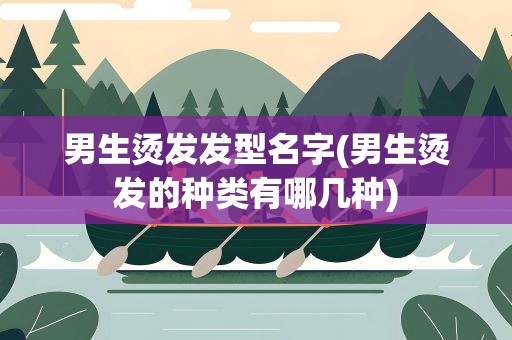 男生烫发发型名字(男生烫发的种类有哪几种)