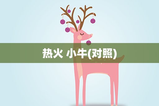 热火 小牛(对照)