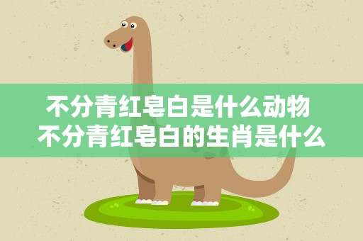 不分青红皂白是什么动物 不分青红皂白的生肖是什么