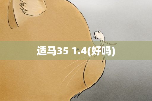 适马35 1.4(好吗)