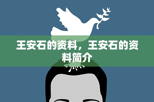 王安石的资料，王安石的资料简介