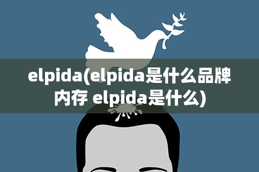 elpida(elpida是什么品牌内存 elpida是什么)