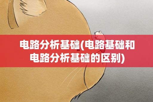 电路分析基础(电路基础和电路分析基础的区别)