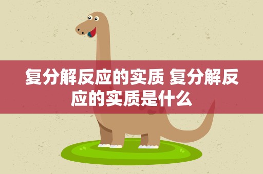 复分解反应的实质 复分解反应的实质是什么