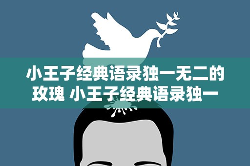 小王子经典语录独一无二的玫瑰 小王子经典语录独一无二的玫瑰英文