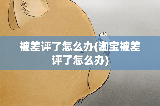 被差评了怎么办(淘宝被差评了怎么办)