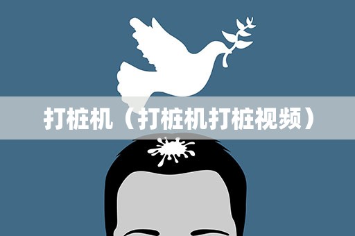 打桩机（打桩机打桩视频）