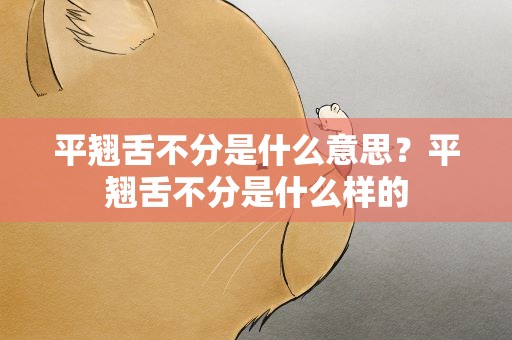 平翘舌不分是什么意思？平翘舌不分是什么样的
