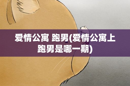 爱情公寓 跑男(爱情公寓上跑男是哪一期)