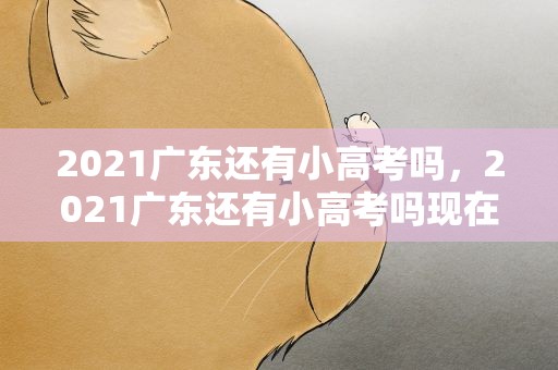 2021广东还有小高考吗，2021广东还有小高考吗现在