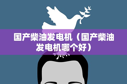 国产柴油发电机（国产柴油发电机哪个好）