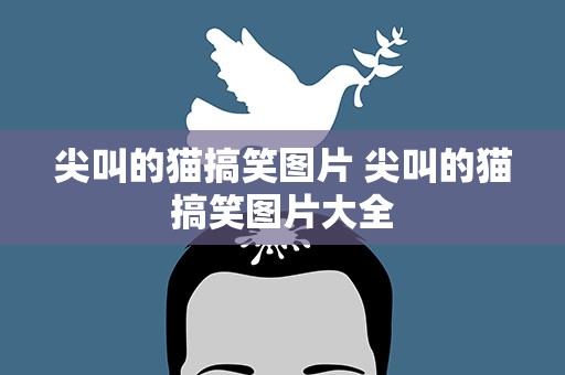 尖叫的猫搞笑图片 尖叫的猫搞笑图片大全