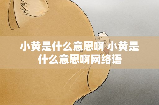 小黄是什么意思啊 小黄是什么意思啊网络语