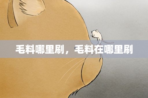 毛料哪里刷，毛料在哪里刷