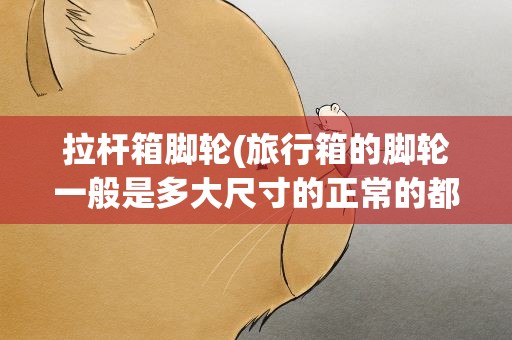 拉杆箱脚轮(旅行箱的脚轮一般是多大尺寸的正常的都是什么材质的呢)