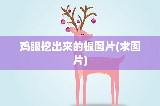 鸡眼挖出来的根图片(求图片)