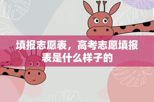 填报志愿表，高考志愿填报表是什么样子的