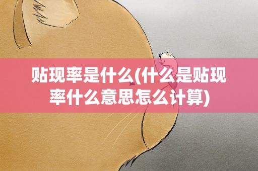 贴现率是什么(什么是贴现率什么意思怎么计算)