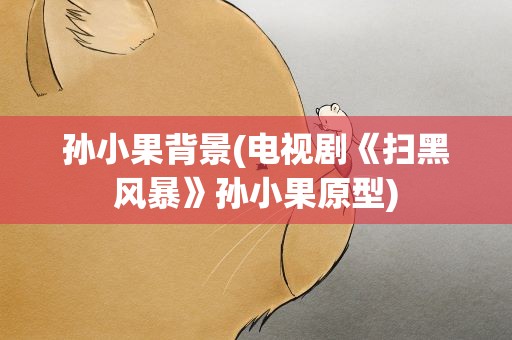 孙小果背景(电视剧《扫黑风暴》孙小果原型)